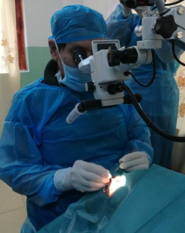 2017年8月1日,霍鸣教授正式受聘为宜昌金沙9001以诚为本院长 2017年8月1日,霍鸣教授正式受聘为宜昌金沙9001以诚为本院长