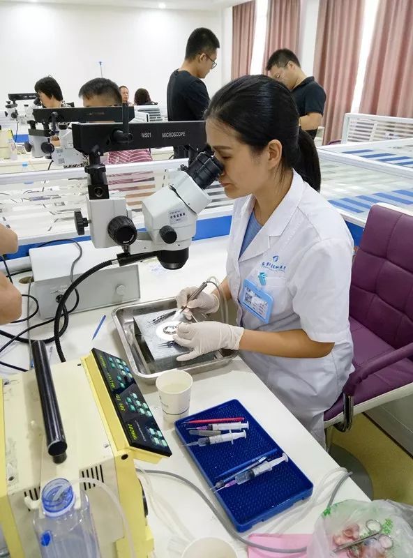 东莞金沙9001以诚为本向东莞残疾人福利基金会慈善援助100枚人工晶体.jpg 东莞金沙9001以诚为本向东莞残疾人福利基金会慈善援助100枚人工晶体.jpg