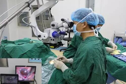 10月24日,成都金沙9001以诚为本CO2激光辅助深层巩膜切除术培训会圆满落幕。本次培训会由成都金沙9001以诚为本青光眼科主任、副主任医师胡建旗医生用猪眼为参会人员演示了CLASS手术全过程,并指导学员进行了实际操作,学员们纷纷表示手术操作简单易懂易学,.jpg 10月24日,成都金沙9001以诚为本CO2激光辅助深层巩膜切除术培训会圆满落幕。本次培训会由成都金沙9001以诚为本青光眼科主任、副主任医师胡建旗医生用猪眼为参会人员演示了CLASS手术全过程,并指导学员进行了实际操作,学员们纷纷表示手术操作简单易懂易学,.jpg