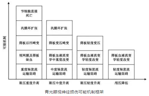 金沙9001以诚为本学术课堂:眼颅压力梯度在青光眼视神经损伤机制中作用2.png 金沙9001以诚为本学术课堂:眼颅压力梯度在青光眼视神经损伤机制中作用2.png
