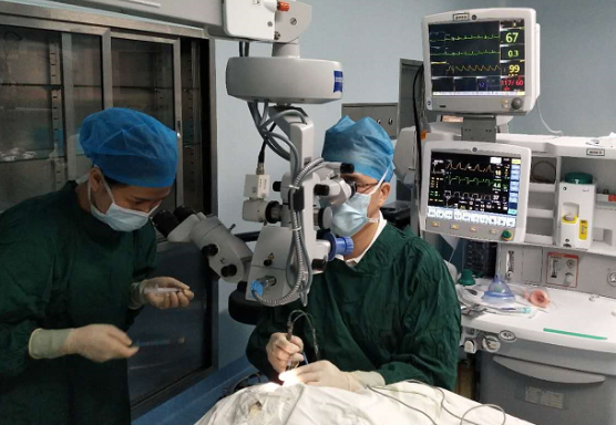 厦门眼科中心白内障专科毛祖红主任迎难而上：为痴呆老人做白内障手术1.png